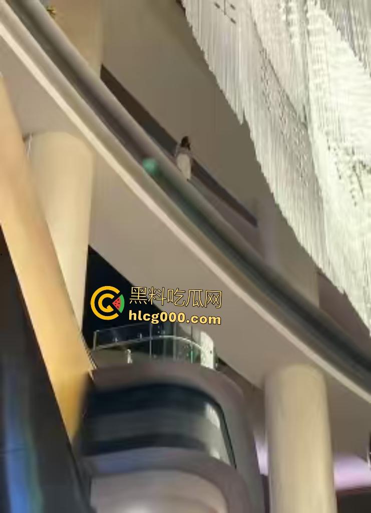 澳门金沙女子因欠下巨额赌债,在高楼跳楼,最后直接被消防人员一把拉下!-7