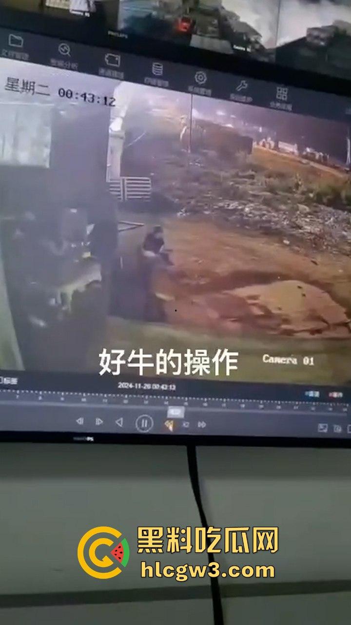 真实操兽：饥渴小哥不吹牛逼操牛逼 拔屌暴插大母牛 省钱免费逼还大 论狠人你是第一人！-5