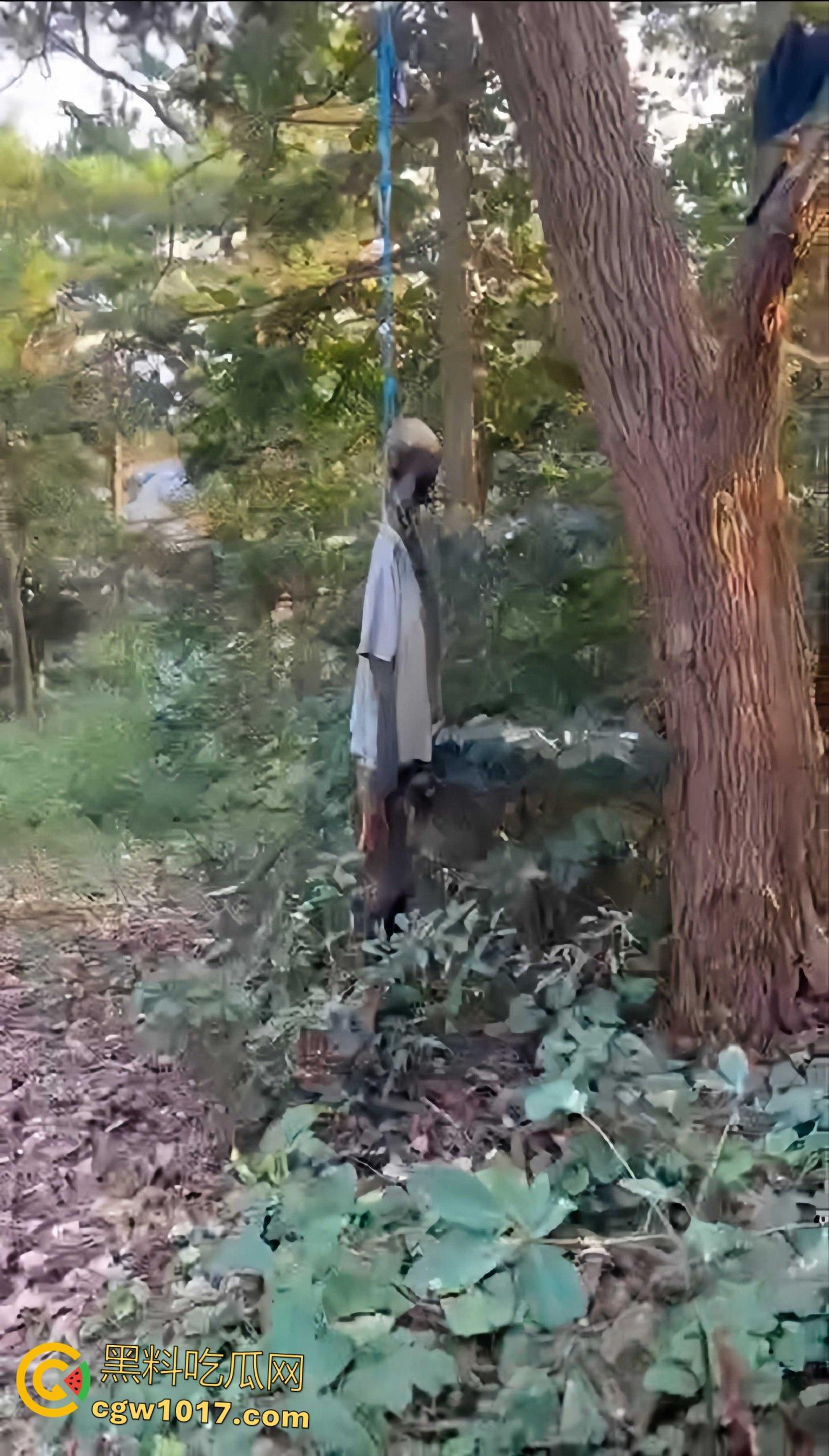骑行摩托车的摩友意外发现，四明山深处惊现一具吊干尸，尸体已高度干瘪仅剩骨架，疑似死亡数月之久！-6