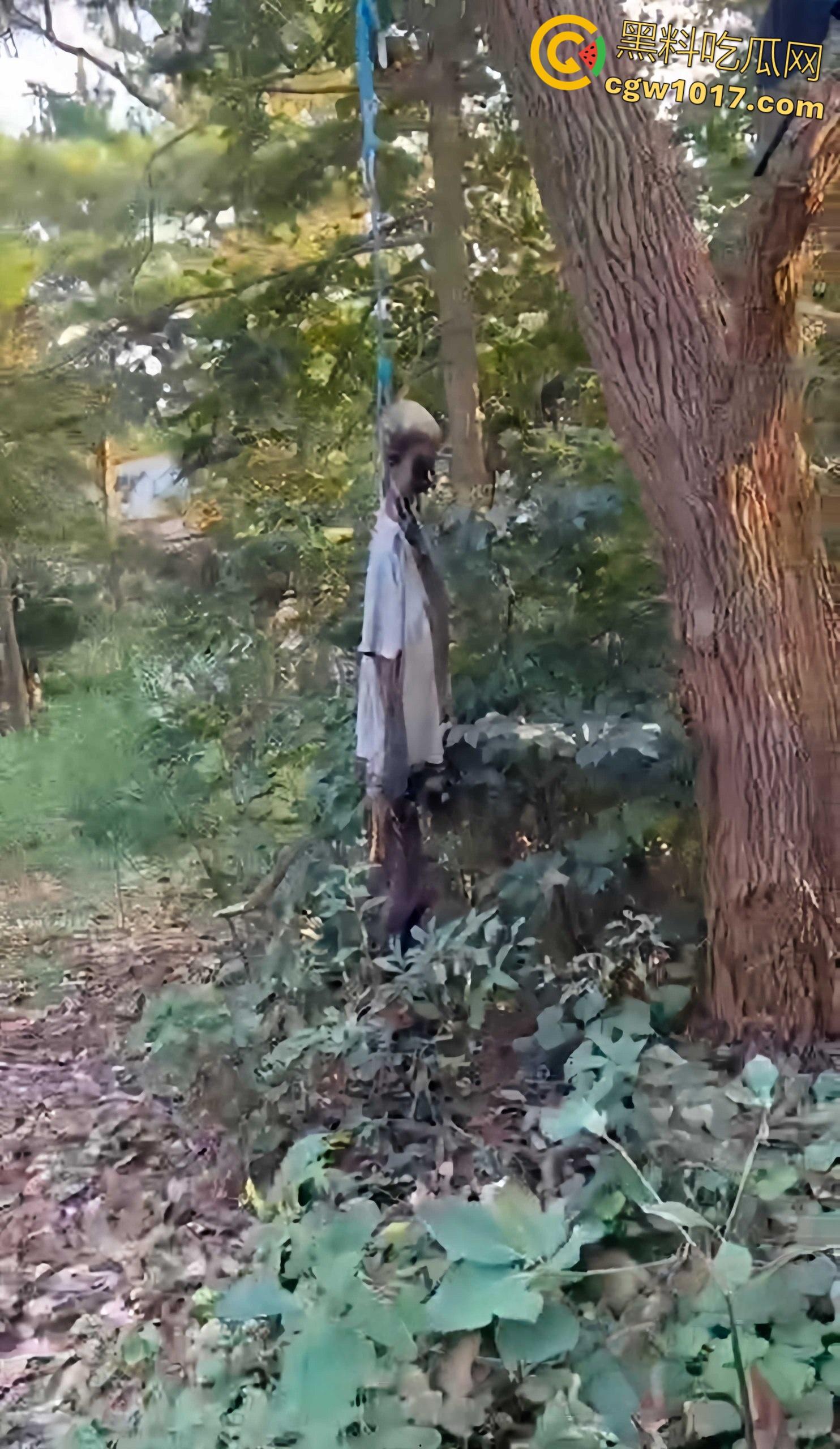 骑行摩托车的摩友意外发现，四明山深处惊现一具吊干尸，尸体已高度干瘪仅剩骨架，疑似死亡数月之久！-7