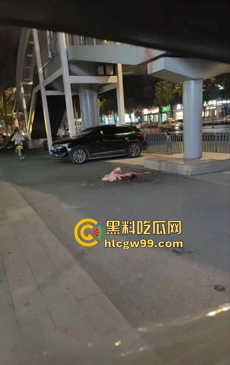 武汉花园道ICC天桥惊现断头惨案,跳楼不成被栏杆拦腰斩断,血浆横飞,画面惨烈重口慎入!-10