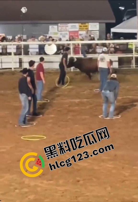 勇敢者的游戏：留在圈里拿10万美元？被牛撞一下骨折赚70万，这笔买卖真划算！-1