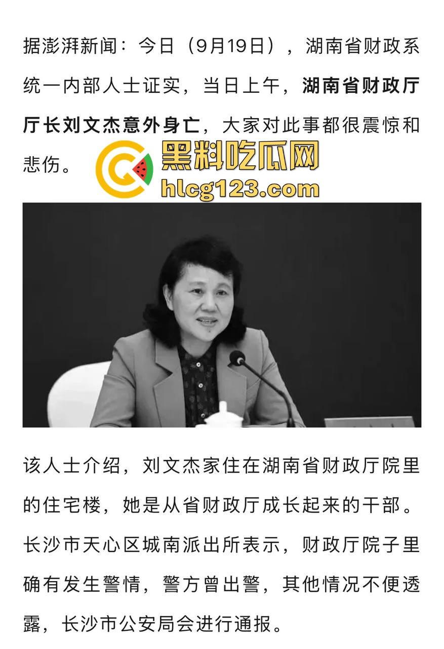湖南财政厅长刘文杰离奇坠楼死亡!政协委员涉案,新闻被迅速封杀,真相成谜!-5