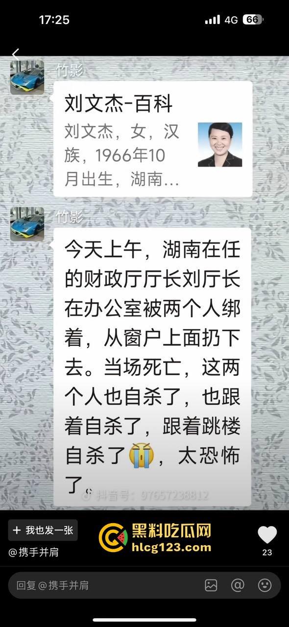 湖南财政厅长刘文杰离奇坠楼死亡!政协委员涉案,新闻被迅速封杀,真相成谜!-8
