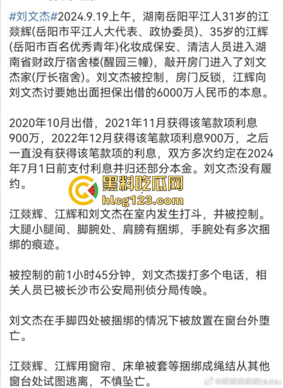 湖南财政厅长刘文杰离奇坠楼死亡!政协委员涉案,新闻被迅速封杀,真相成谜!-14