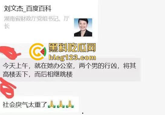 湖南财政厅长刘文杰离奇坠楼死亡!政协委员涉案,新闻被迅速封杀,真相成谜!-20