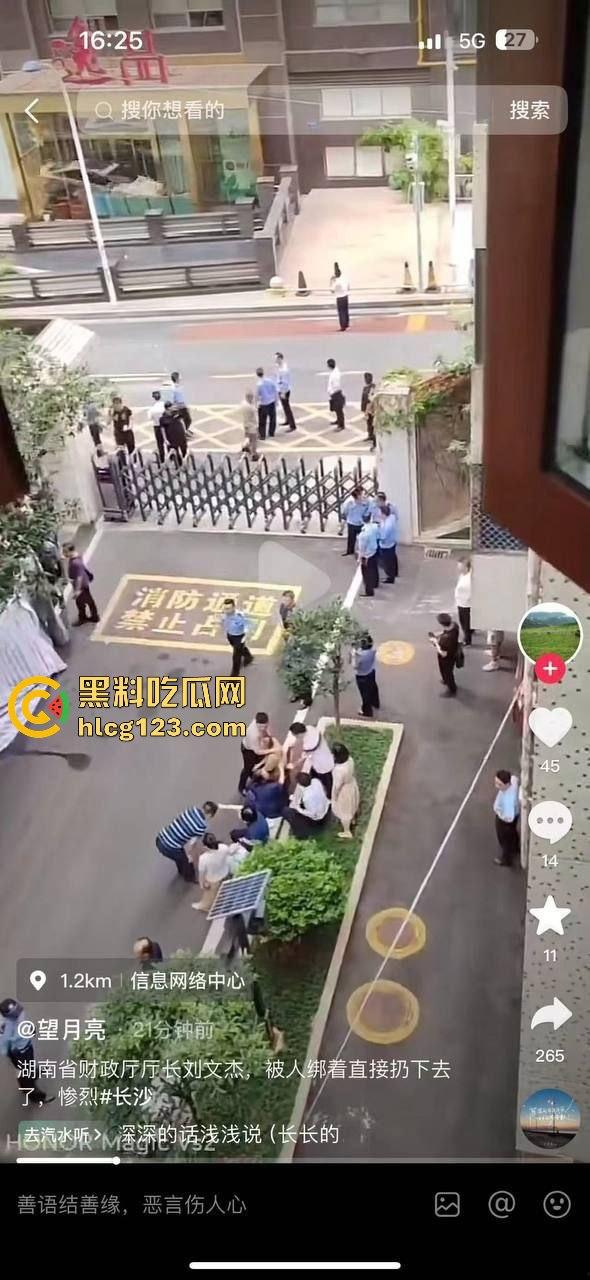 湖南财政厅长刘文杰离奇坠楼死亡!政协委员涉案,新闻被迅速封杀,真相成谜!-24