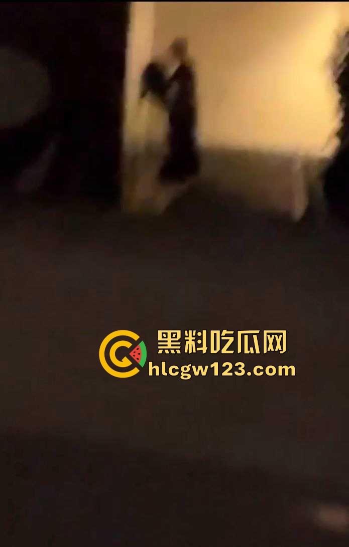 成都东郊记忆酒吧街，老外激情就干 老外就是开放 不知道干的是不是又是我们国内T0版本的小仙女！-4