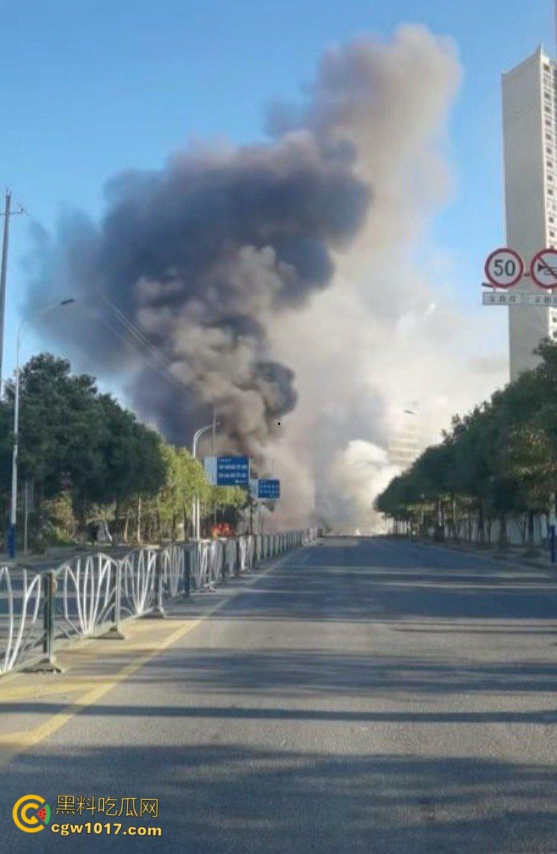 浏阳烟花爆炸事件,勇鑫烟花老板实名举报腐败官员吃分行收贿,被禁卖绝望吃农药,自爆门店轰塌大楼 !-4