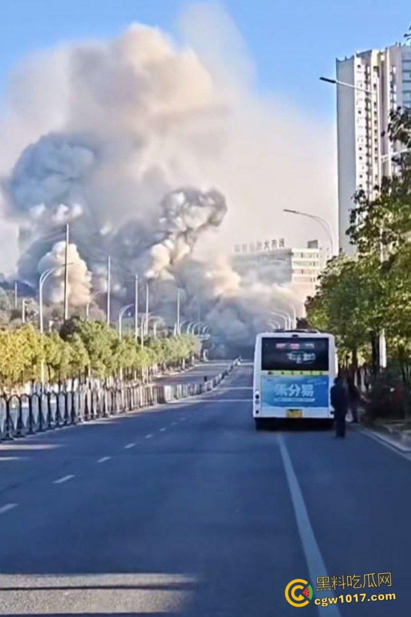 浏阳烟花爆炸事件,勇鑫烟花老板实名举报腐败官员吃分行收贿,被禁卖绝望吃农药,自爆门店轰塌大楼 !-6