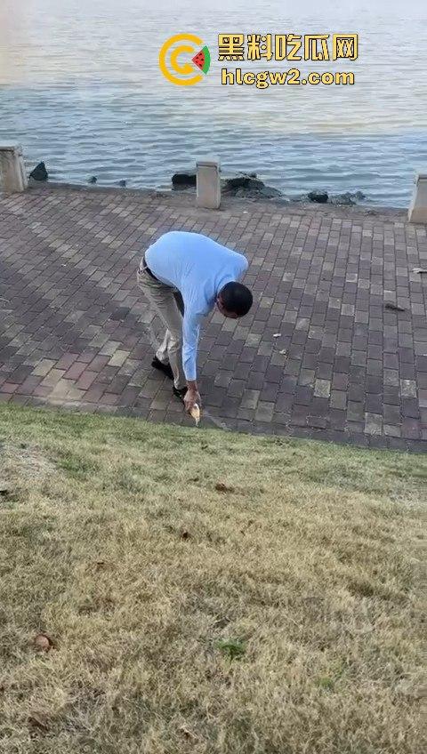 广州番禺区遛狗的注意了!有人在河边下毒,什么变态玩意儿?小心爱犬中招!-3