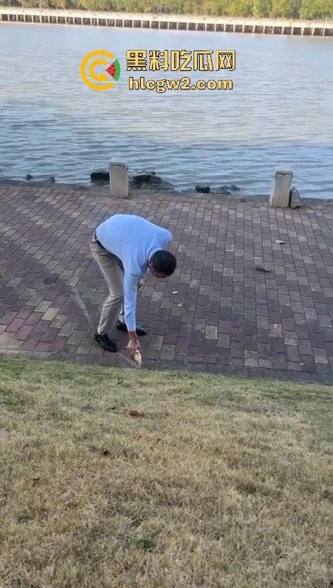 广州番禺区遛狗的注意了!有人在河边下毒,什么变态玩意儿?小心爱犬中招!-4