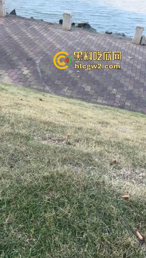 广州番禺区遛狗的注意了!有人在河边下毒,什么变态玩意儿?小心爱犬中招!-7