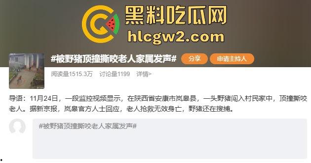 陕西安康野猪闯入民宅撕咬老人致死,老人被反复顶撞撕咬惨不忍睹,野猪仍在追捕中!-1