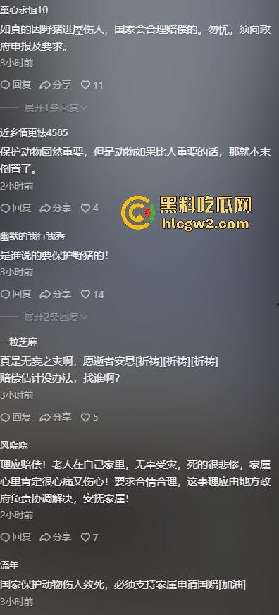 陕西安康野猪闯入民宅撕咬老人致死,老人被反复顶撞撕咬惨不忍睹,野猪仍在追捕中!-5