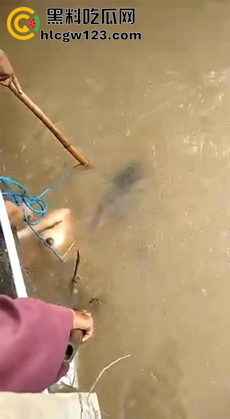 扬州振兴花园二期河道,发现一具21岁女尸,全身赤裸疑似是被害,打捞画面流出,胆小者勿入!-7