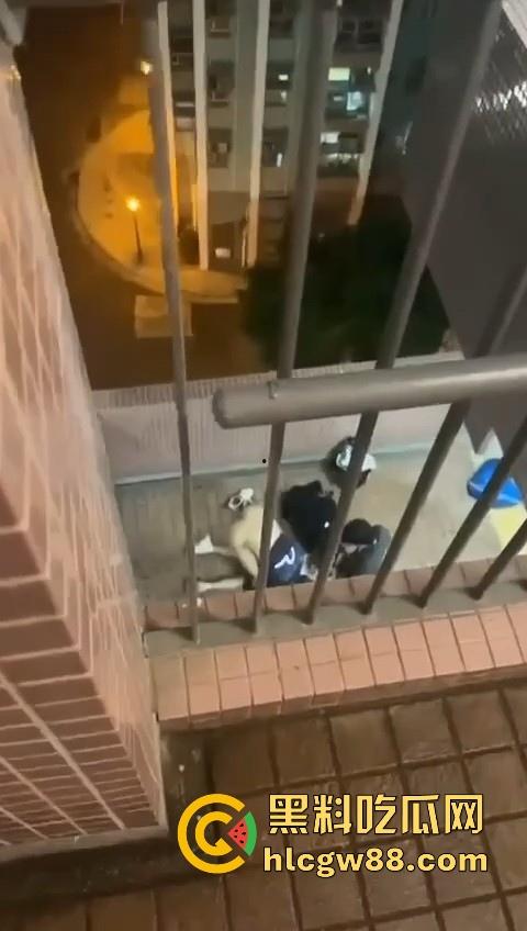 热门事件!香港屋苑平台3P野战偷拍!女孩被2男前后夹击操的热火朝天 跪地被猛插口爆刺激!-4
