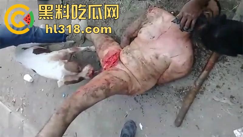 暗网恐怖性虐合集,铁钳拔乳头女尸法检,放狗啃食鸡鸡,撸管被当场剁头切割阴茎,场面血腥胆小者勿入!-3