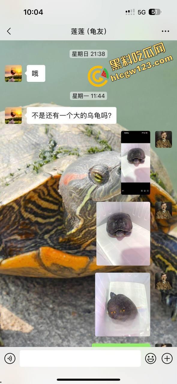 小区楼下遛乌龟竟钓到邻居骚少妇39岁『张珊珊』口活惊艳,屁股一摇榨汁三升,送龟送到床上操!-1