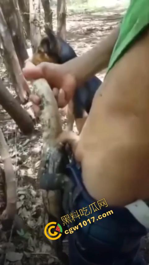 印度阿三享受变态玩乐:鸡巴爆操蜥蜴嫩穴,直到精液喷涌,炫耀异样快感,震撼画面引无数网民围观-4