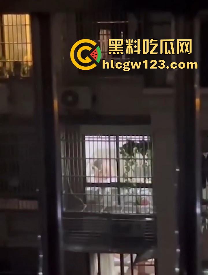 邻居夫妻客厅性爱 忘拉窗帘被偷拍 各种姿势变换激烈 从客厅干房间 画面火辣至极!-1