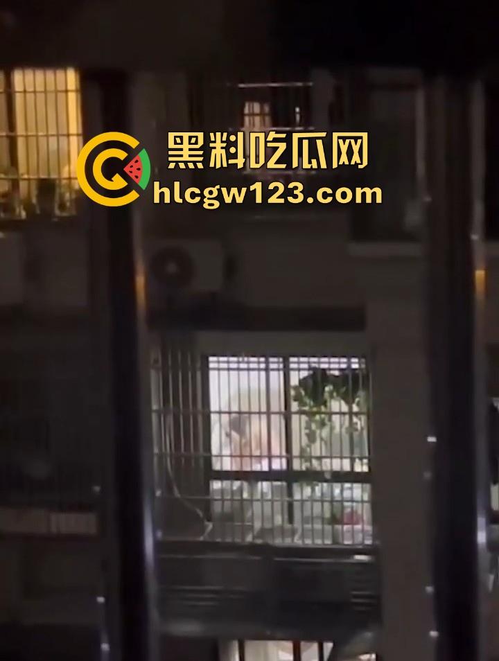 邻居夫妻客厅性爱 忘拉窗帘被偷拍 各种姿势变换激烈 从客厅干房间 画面火辣至极!-2