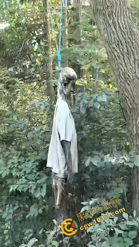 四明山中骑行,摩友巧遇恐怖干尸,惊恐报警,警调挖机移尸,骇人现场,让人看的心跳加速!-5