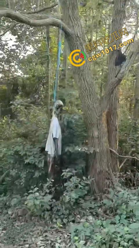 四明山中骑行,摩友巧遇恐怖干尸,惊恐报警,警调挖机移尸,骇人现场,让人看的心跳加速!-6