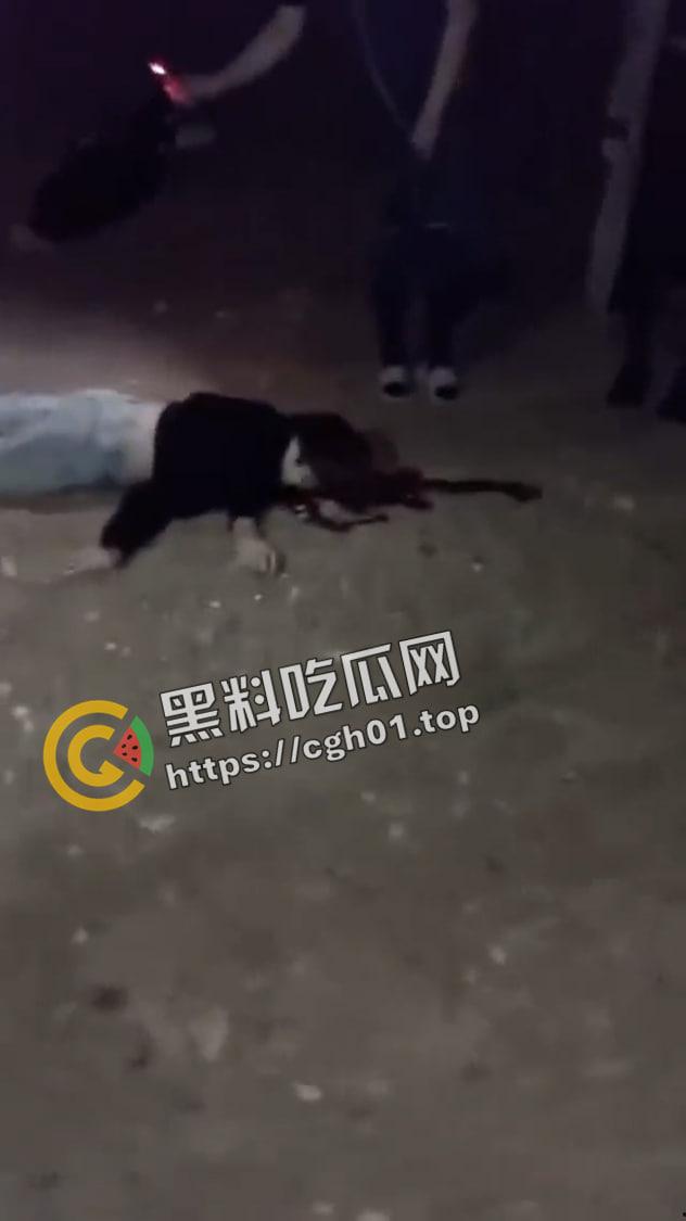 外网疯传 伏尔加格勒两女生跳楼自杀 死前发布甜美自拍 现场收尸视频流出 血腥慎点-6