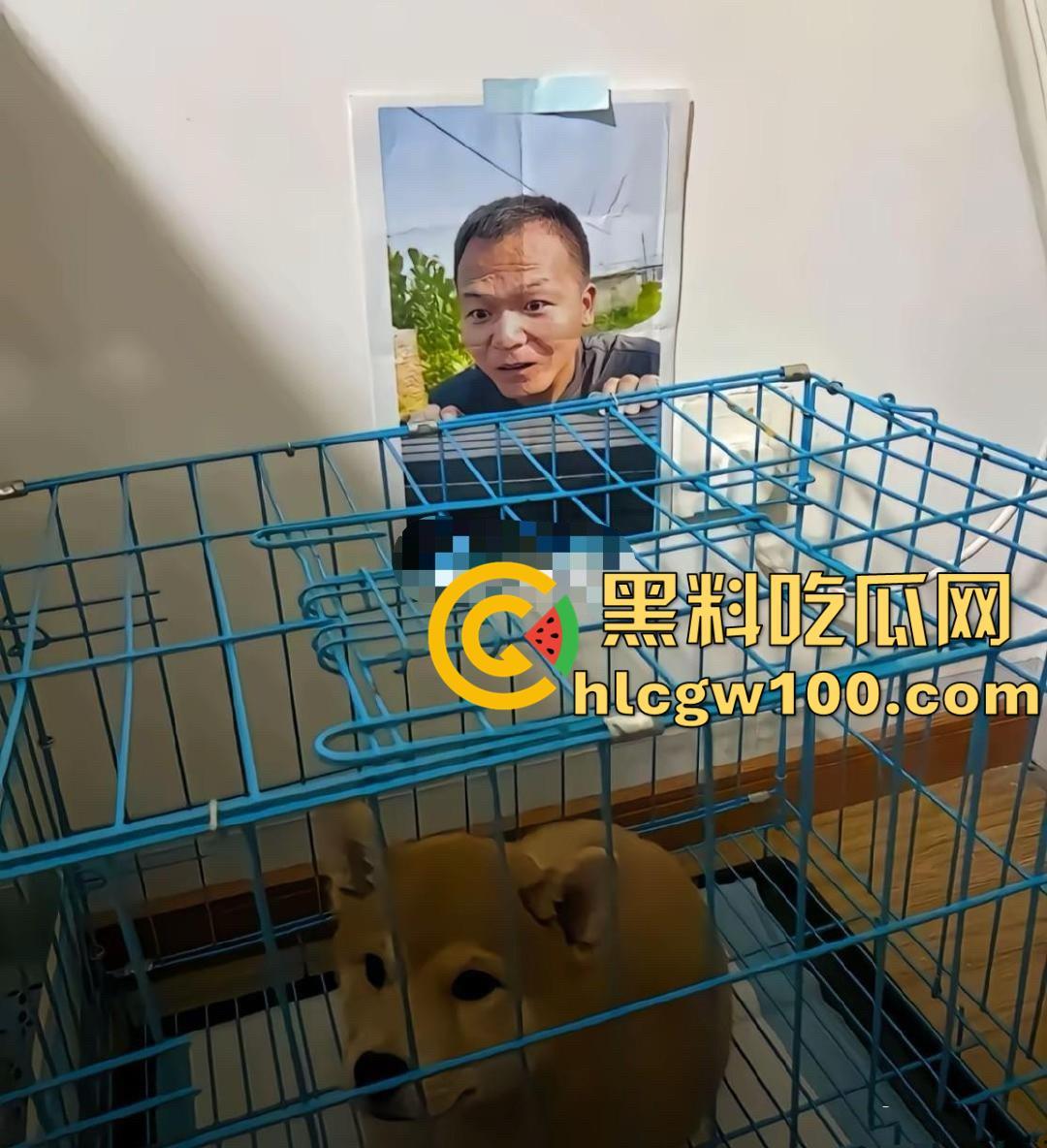 千万粉网红【潘宏爱玩狗】深陷虐狗风波,艾特直播洗澡窒息死亡,【陈乔恩】发声批判-13