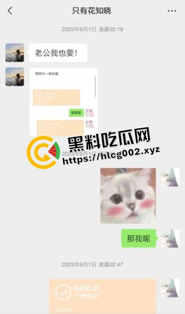 纯爱不死!王者荣耀国服梦琪【肥猫】【谭竹】事件全梳理 两年转账51万后被PUA至死 谭竹被打视频流出?正义开盒-3