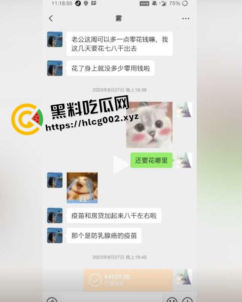 纯爱不死!王者荣耀国服梦琪【肥猫】【谭竹】事件全梳理 两年转账51万后被PUA至死 谭竹被打视频流出?正义开盒-14