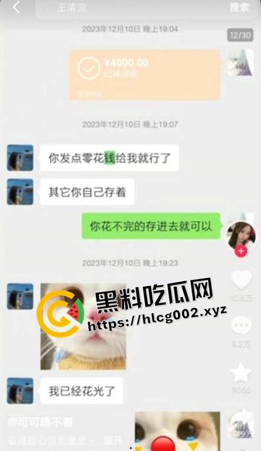 纯爱不死!王者荣耀国服梦琪【肥猫】【谭竹】事件全梳理 两年转账51万后被PUA至死 谭竹被打视频流出?正义开盒-17