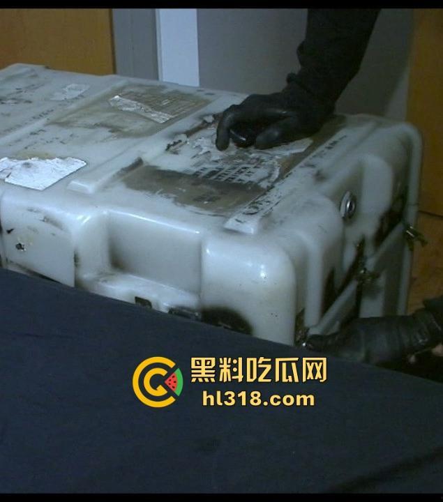 欧美重口味调教!插入充气式肛塞,菊花塞入电击遥控跳蛋,塞进行李箱,运输到下一个调教地点!-9