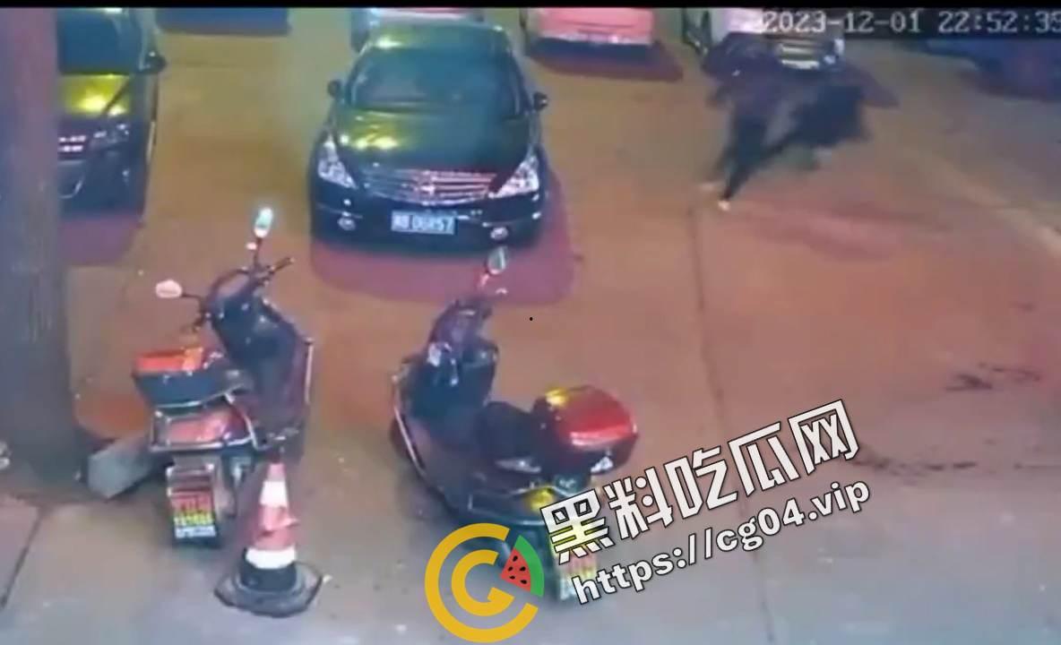 株洲攸县黄图岭镇怒杀出轨女和情夫 现场监控画面 血如水流-5