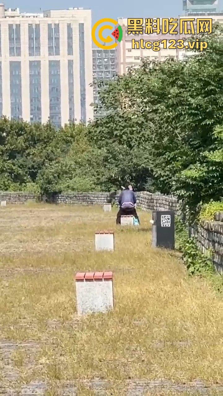 南京城墙惊现激情戏!大爷大妈公园打野战,瓜友带朋友全程目瞪口呆!-6