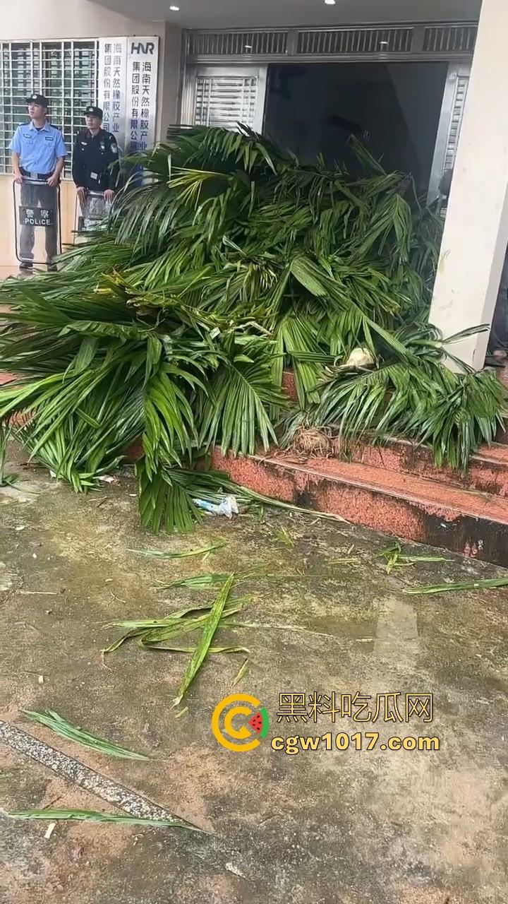 海南琼中爆发大规模群体抗争!因海南天然橡胶产业集团偷砍农民的槟榔田爆发,现场的农民们情绪机动!-6