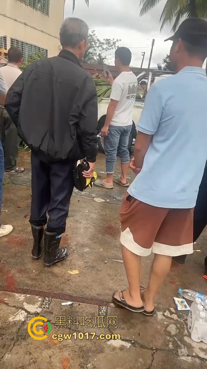 海南琼中爆发大规模群体抗争!因海南天然橡胶产业集团偷砍农民的槟榔田爆发,现场的农民们情绪机动!-7