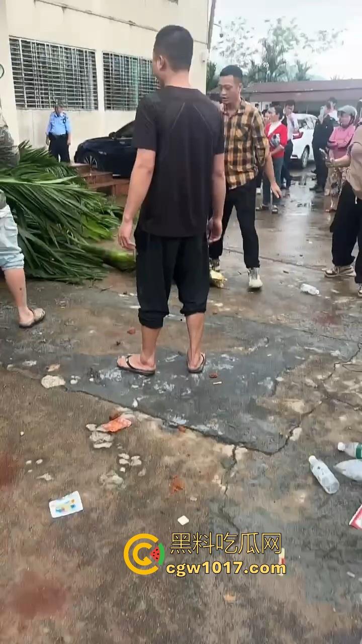 海南琼中爆发大规模群体抗争!因海南天然橡胶产业集团偷砍农民的槟榔田爆发,现场的农民们情绪机动!-9