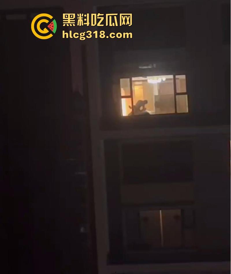 商务套房惊现落地窗前激情做爱!灯也不关窗帘也不拉 多种姿势爆操打桩不停 看得人饥渴难耐!-3