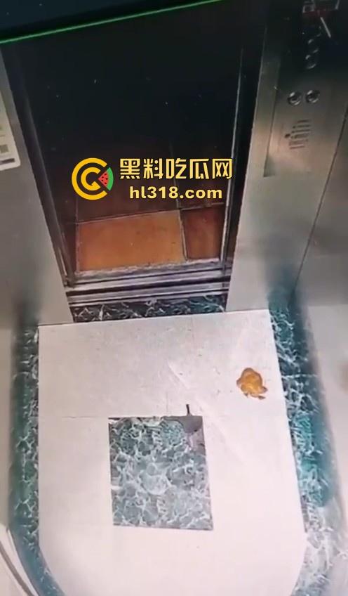 河南驻马店抖音网名【瑶.】妙龄女子当众在电梯拉屎,女子在无视监控,拉完随后淡定离开!-7