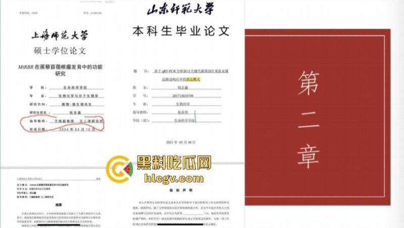 炸裂一家子!上海师范大学女研究生【钱志鑫】知三当三为论文甘愿被导师王二涛爆操 遭男友23页PPT全网曝光-11