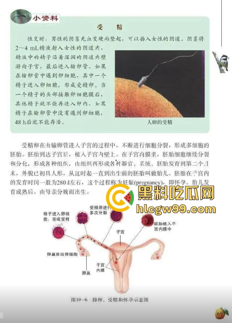 七年级生物课现场社死,老师一本正经讲解鸡巴与阴道的互插关系, 还让全班大声朗读鸡巴,课堂笑死个人!-6