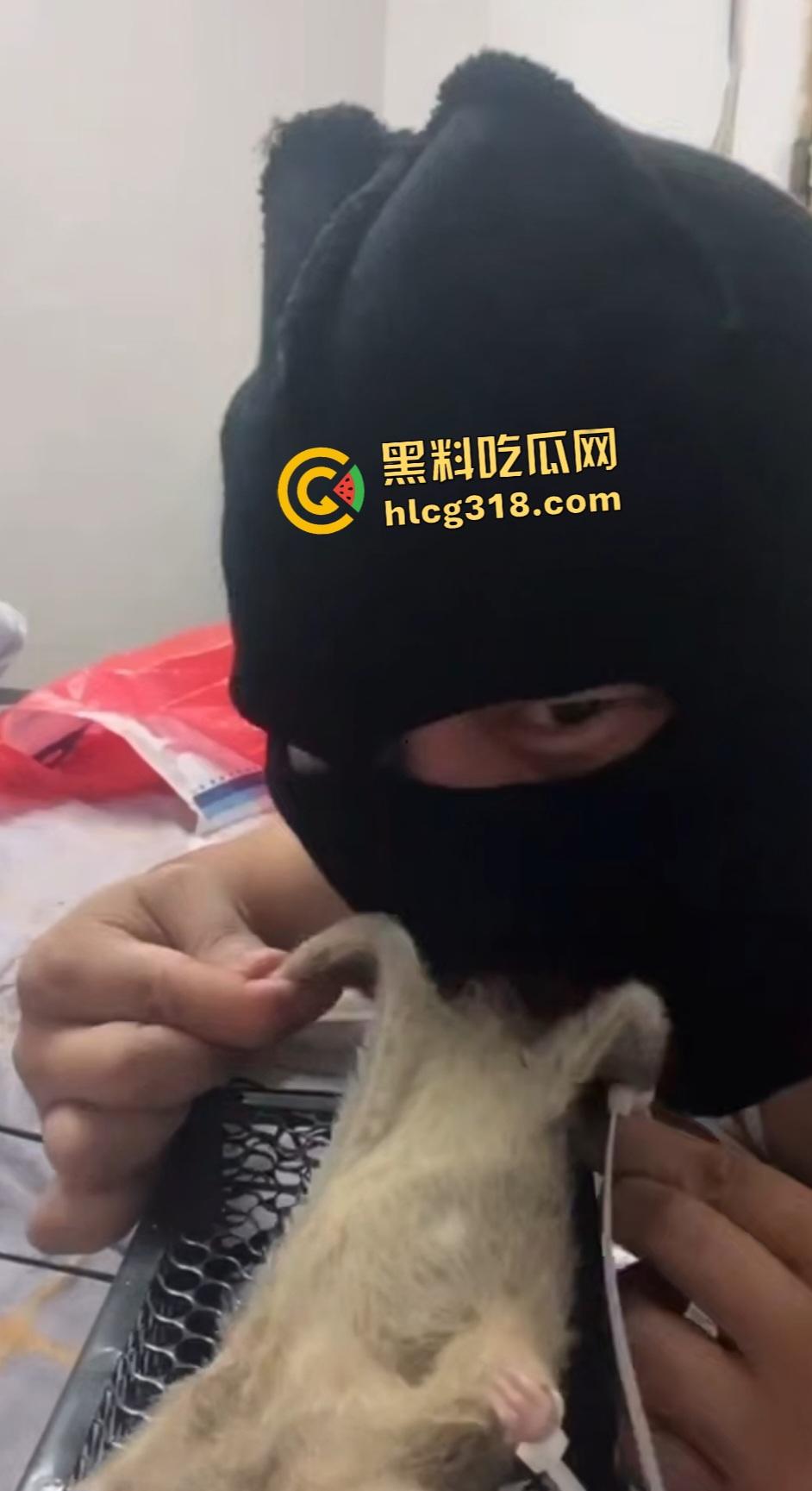 人兽变态新高度！蒙面猛男生啃死老鼠小鸡鸡，带着面罩生怕别人不知道是变态？-1