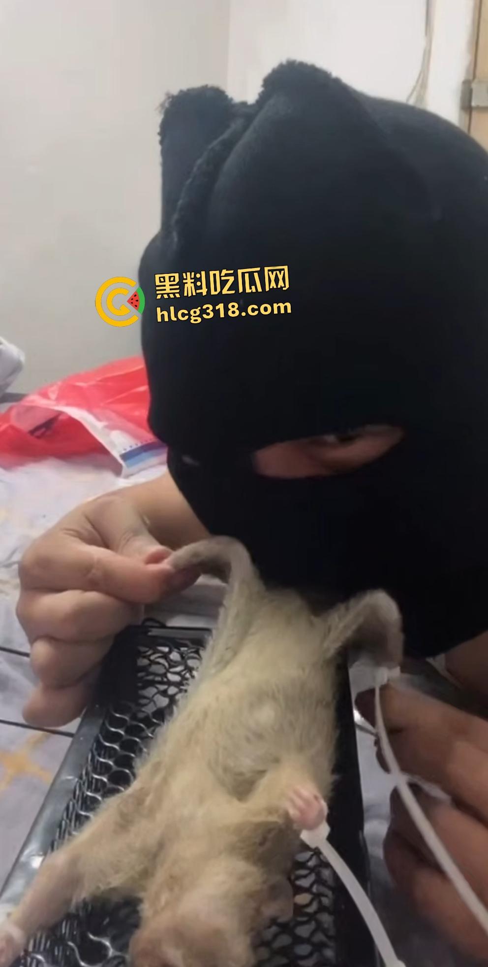 人兽变态新高度！蒙面猛男生啃死老鼠小鸡鸡，带着面罩生怕别人不知道是变态？-6