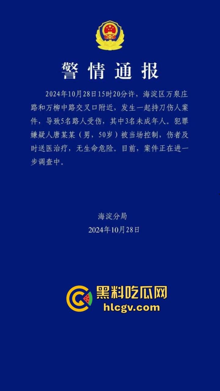 没人性!北京海淀区男子当街砍人报复社会 专挑孩子下手 现场血腥惨烈视频曝光-2