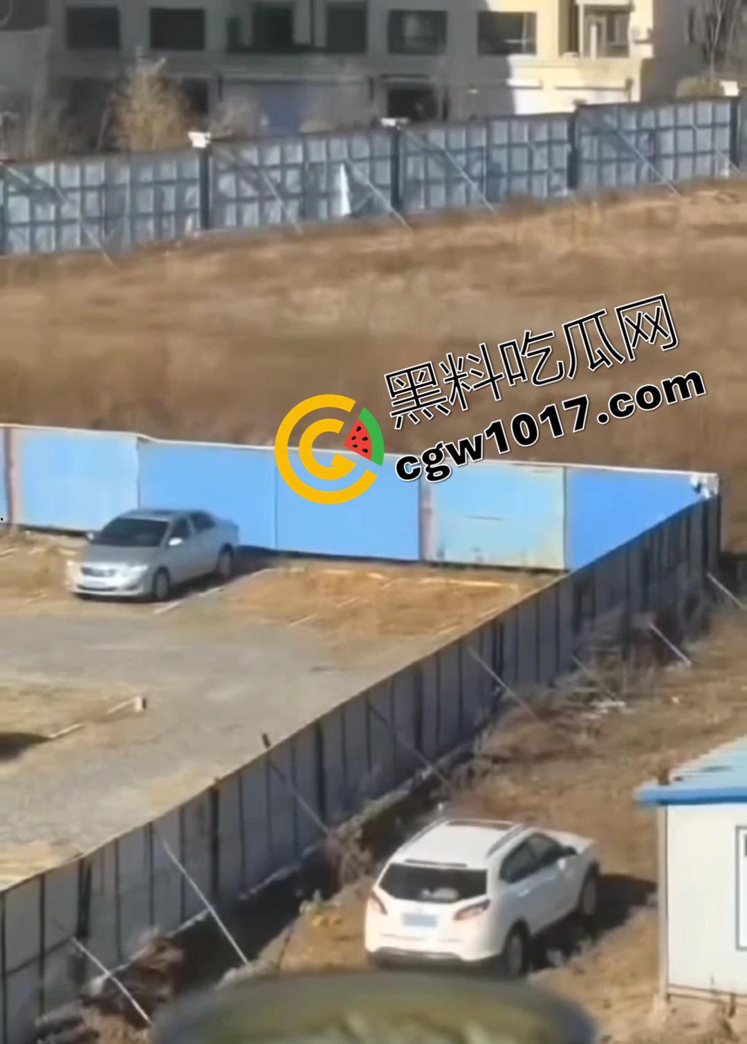 辽源市的吉DR3855 野外车震完整曝光！大屁股后入白嫩晃眼，车主直接社死全国！-3