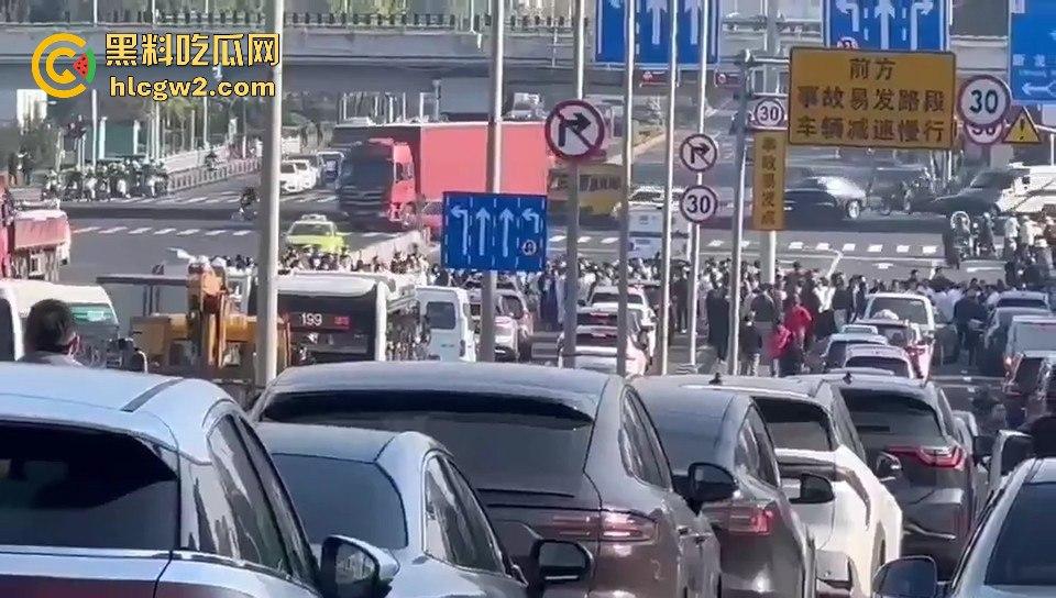 上海沪松公路被国利员工堵到爆！讨薪没问题，害全场牛马迟到真是要命！-3