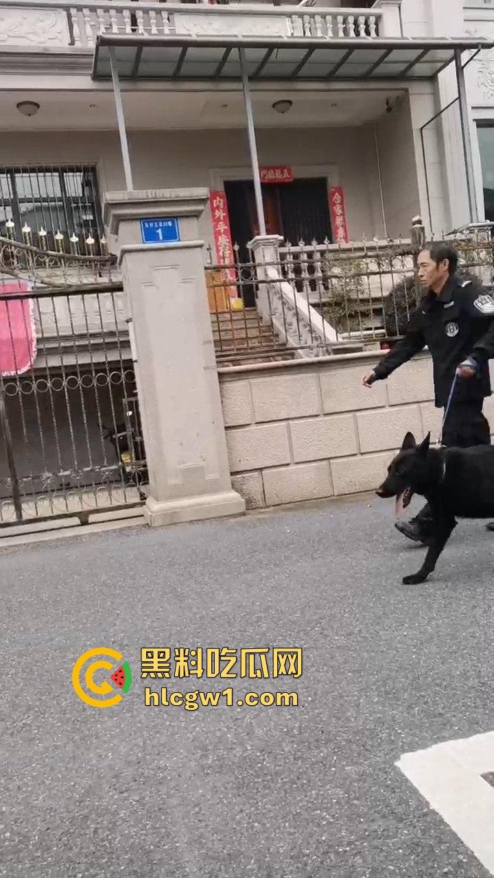 浙江义乌南山区地毯式搜索凶手!群众瑟瑟发抖,警方封锁整片山林!-8