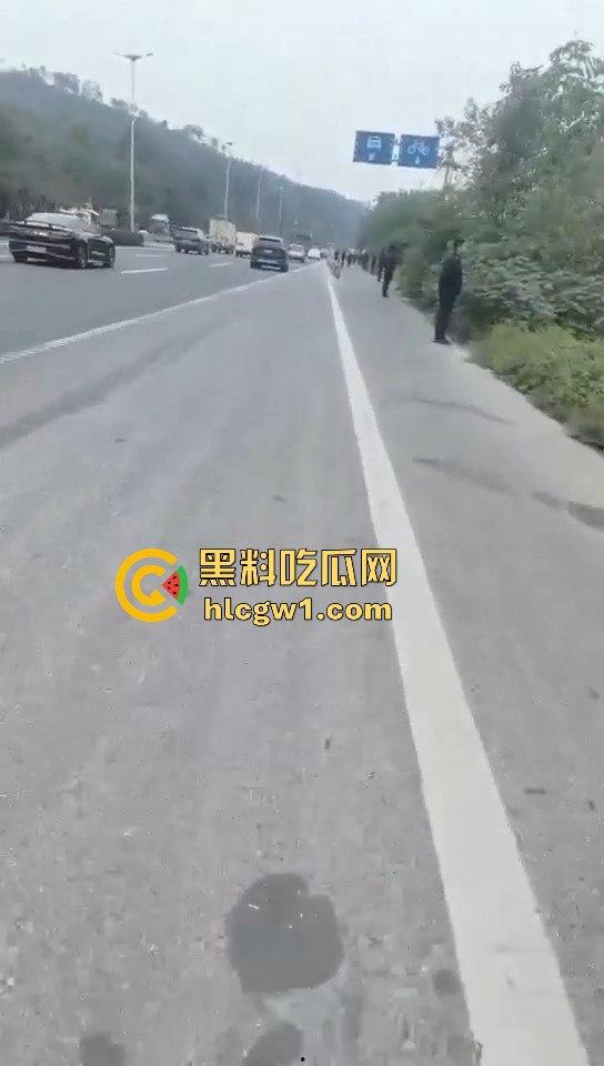 浙江义乌南山区地毯式搜索凶手!群众瑟瑟发抖,警方封锁整片山林!-9